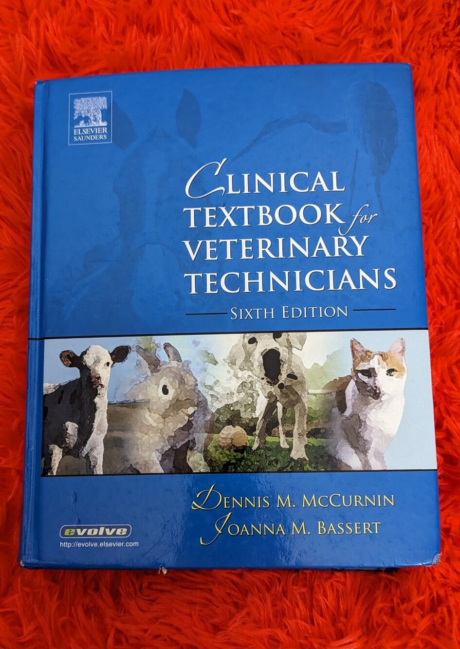 2005 Clinical Textbook for Veterinary Technicians 6th ED McCurnin Bassert HC
